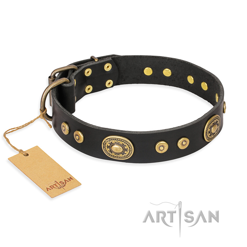 "Golden Radiance" FDT Artisan Black Leather Amstaff Collar with Old Bronze Look Ovals and Circles