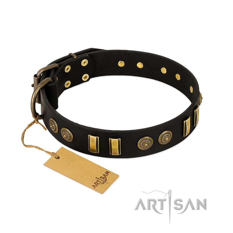 "Simple Elegance" FDT Artisan Black Leather Amstaff Collar with Old Bronze-like Plates and Circles