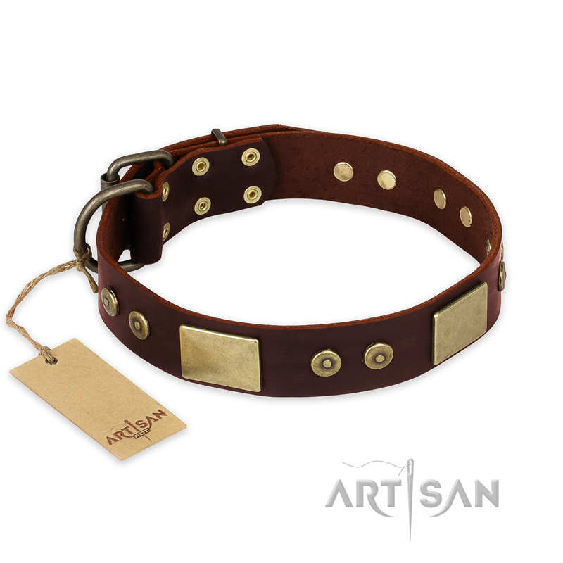 "Shining Armour" FDT Artisan Brown Leather Amstaff Collar with Decorations