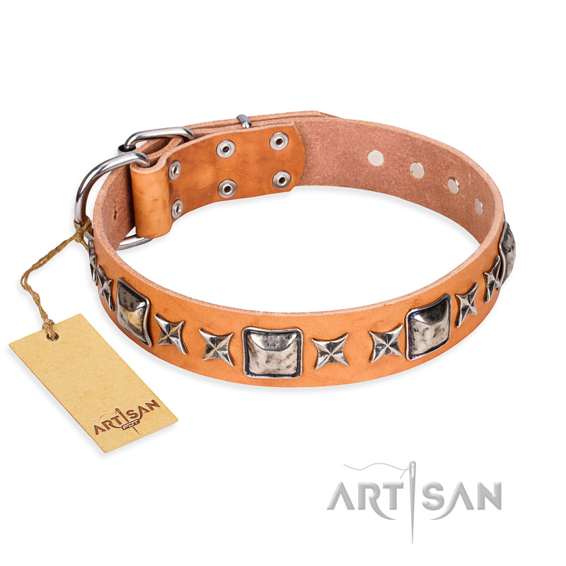"Glamour Finery" FDT Artisan Female Amstaff collar of natural leather with stylish old-looking circles