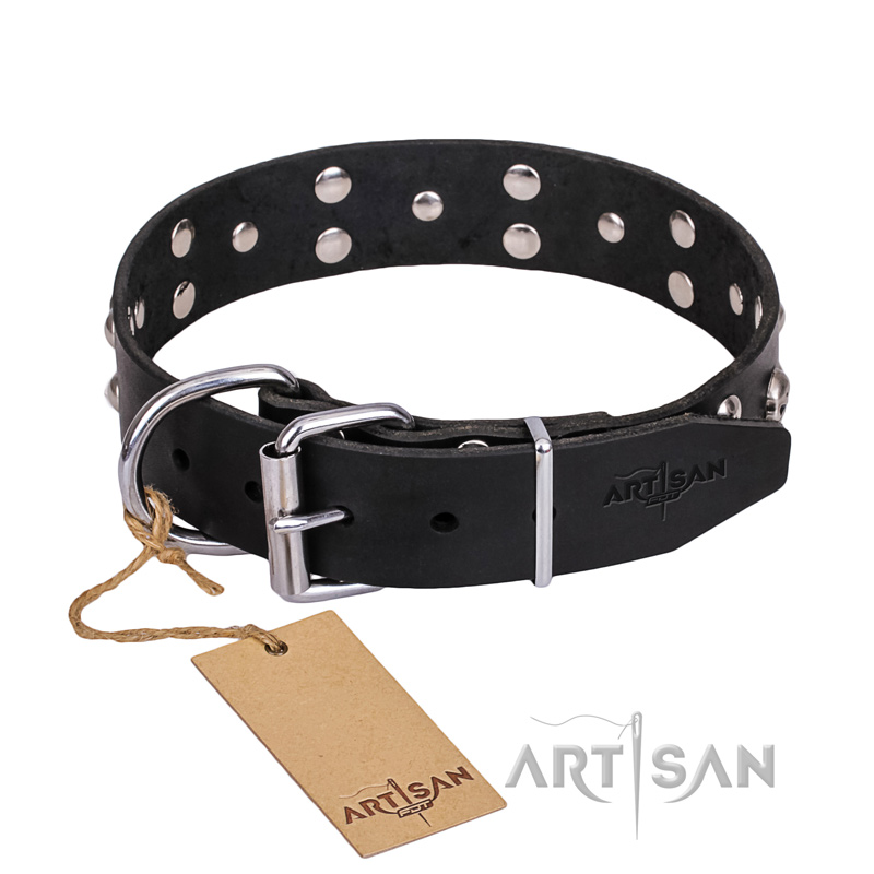 "Mystic Skulls" Decorated Leather Amstaff Collar with Skulls and Studs