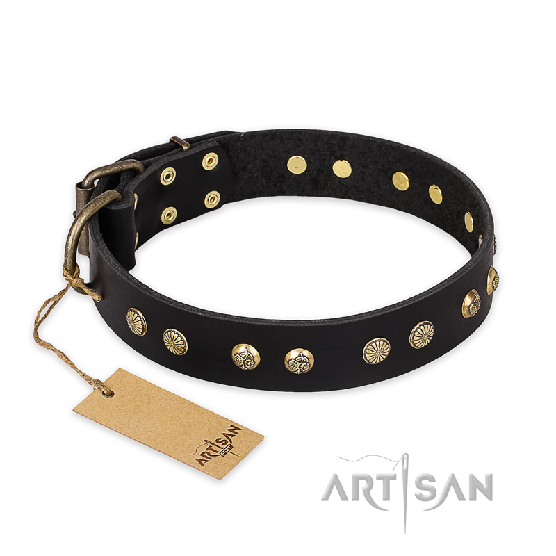 "Black Elegance" FDT Artisan Leather Amstaff Collar with Round Studs