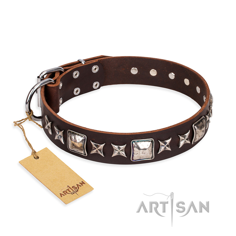 "Perfect Impression" FDT Artisan Brown Leather Amstaff Collar with Silvery Square Studs - Click Image to Close