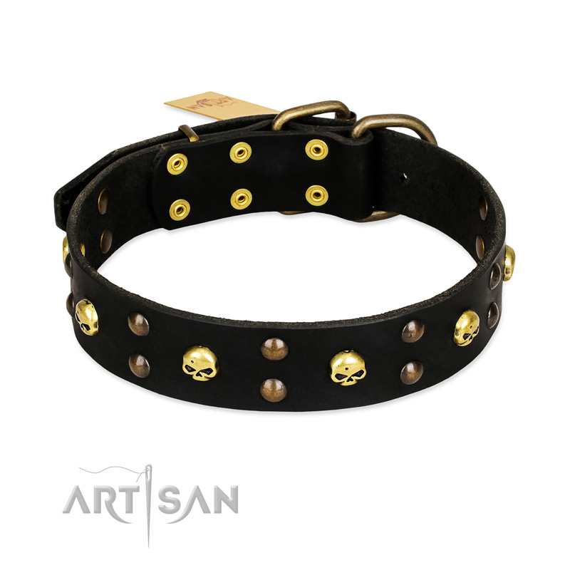 "Heavy Metal" Leather Amstaff Collar with Skulls and Studs 1 1/2 inch (40 mm)
