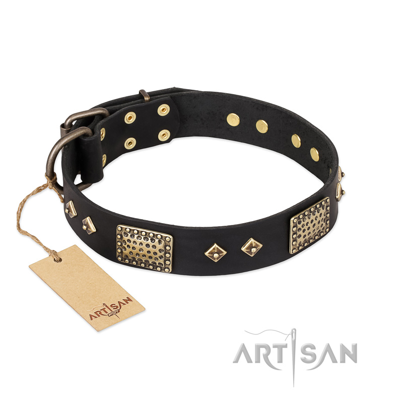 "Jewel Passion" FDT Artisan Fashionable Black Leather Amstaff Collar - Click Image to Close
