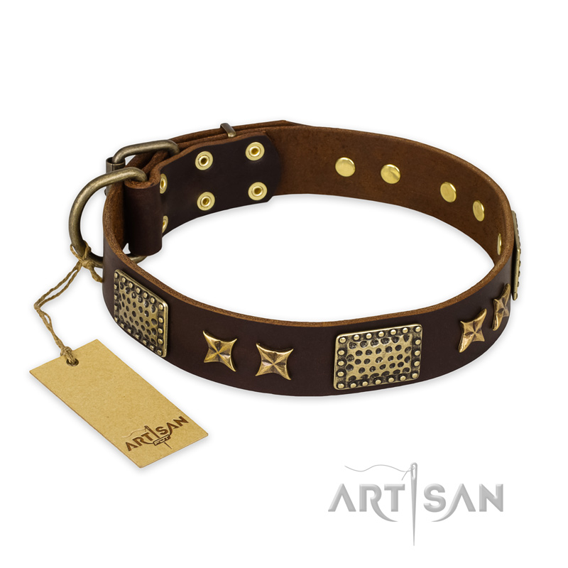 "Sparkling Bronze" FDT Artisan Genuine Leather Amstaff Collar with Bronze Look Stars and Plates - Click Image to Close