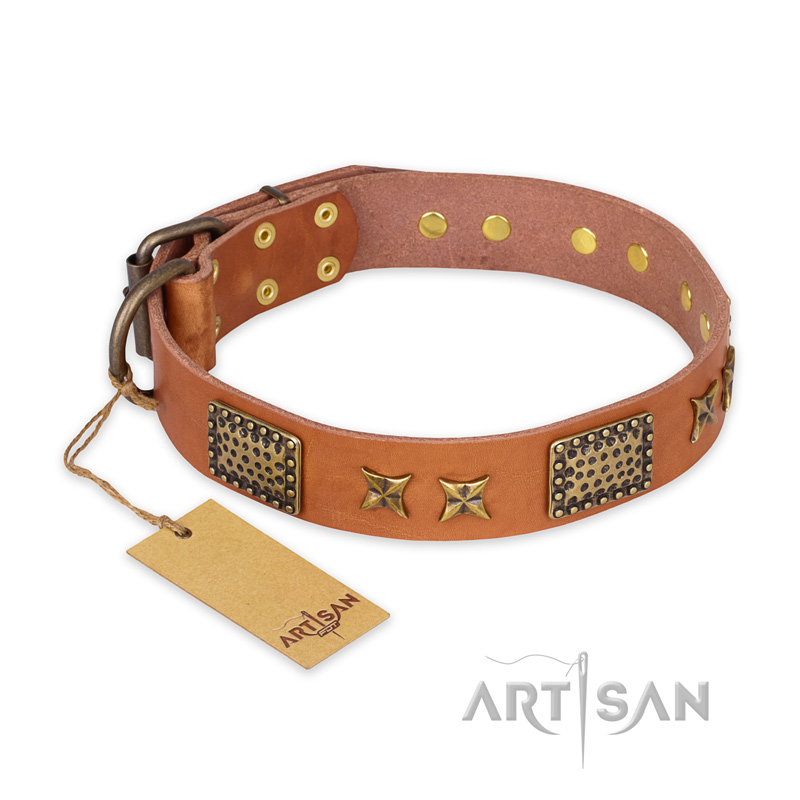 "Cosmic Traveller" FDT Artisan Adorned Leather Amstaff Collar with Old Bronze-Plated Stars and Plates