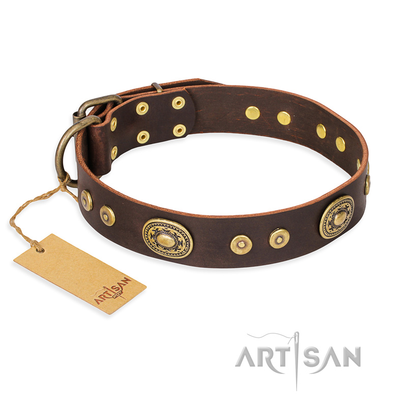 "One-of-a-Kind" FDT Artisan Handmade Decorated Brown Leather Amstaff Collar