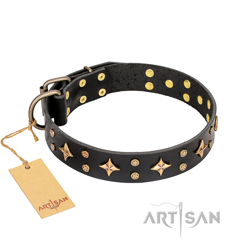 "A La Mode" FDT Artisan Handcrafted Black Leather Amstaff Collar - Click Image to Close