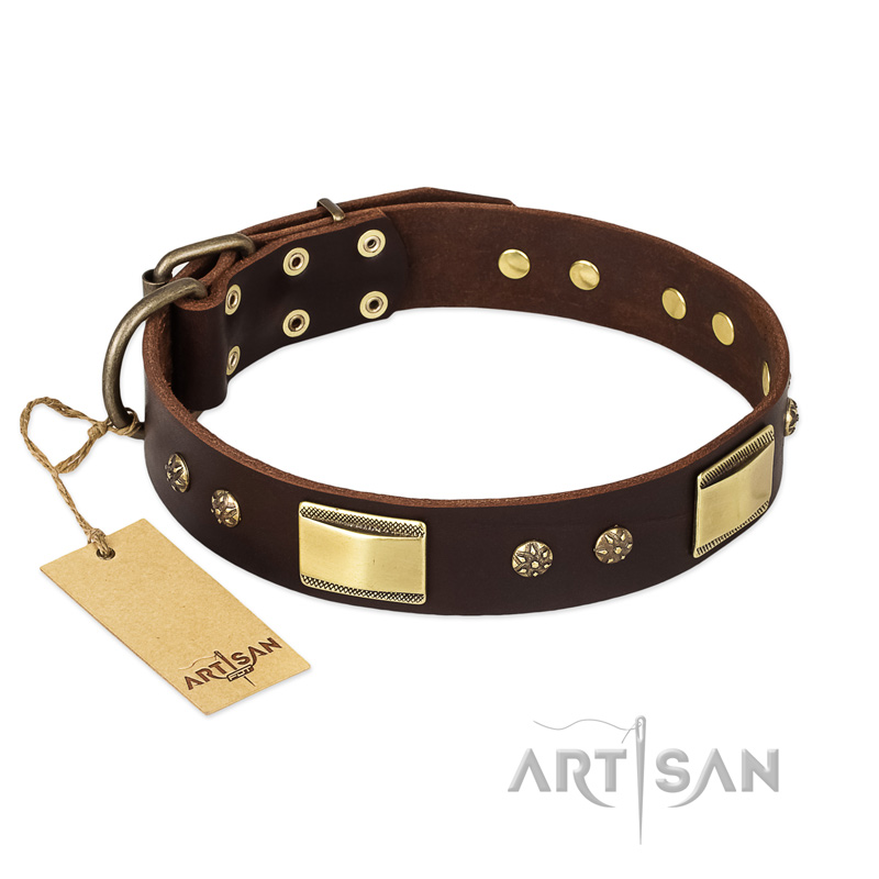 "Rich Fashion" FDT Artisan Decorated Leather Amstaff Collar with Plates and Studs