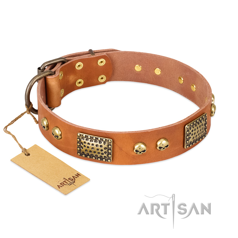 "Saucy Nature" FDT Artisan Tan Leather Amstaff Collar with Old Bronze Look Plates and Skulls
