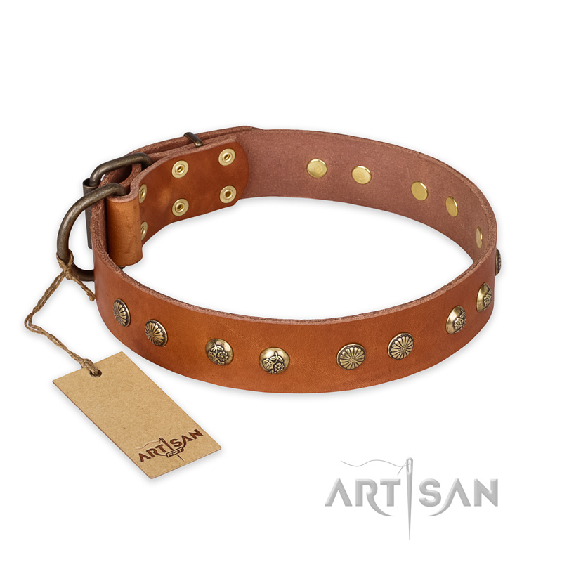 "Spring Flavor" FDT Artisan Adorned Leather Amstaff Collar with Old Bronze-Plated Engraved Studs