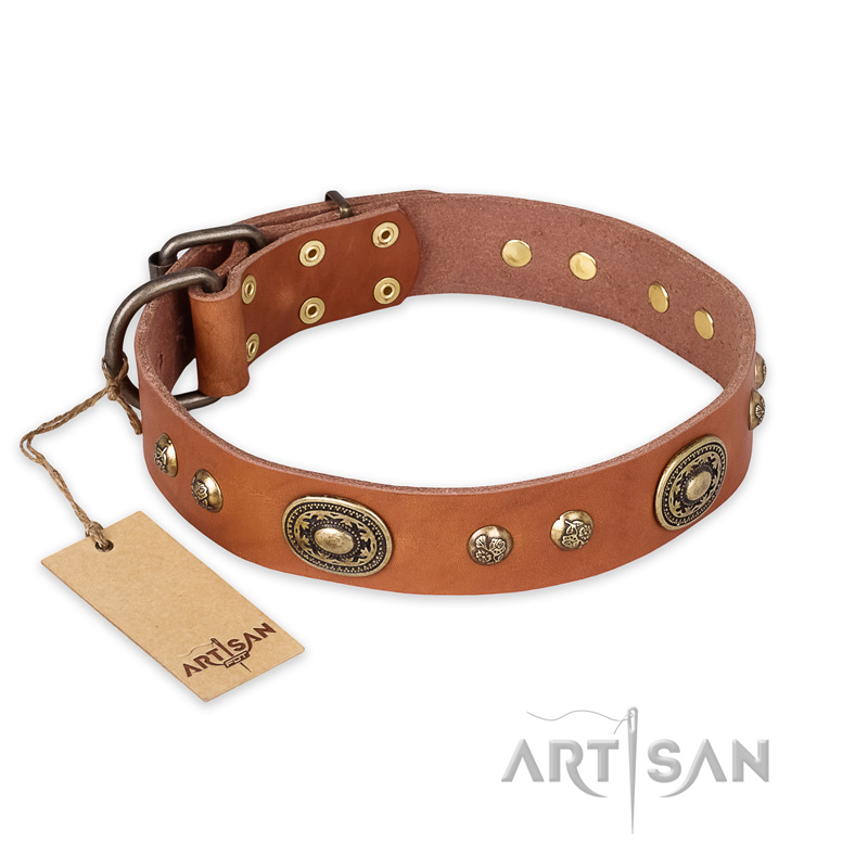 "Stunning Dress" FDT Artisan Tan Leather Amstaff Collar with Old Bronze Look Plates and Studs