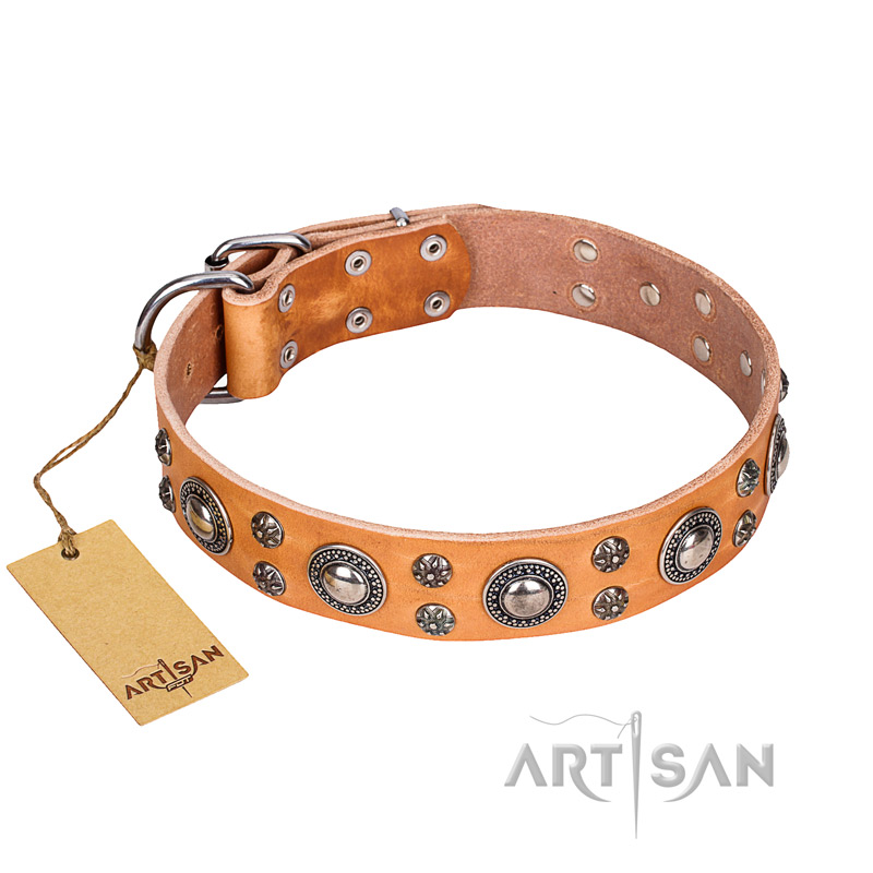 "Extra Sparkle" FDT Artisan Handcrafted Tan Leather Amstaff Collar - Click Image to Close