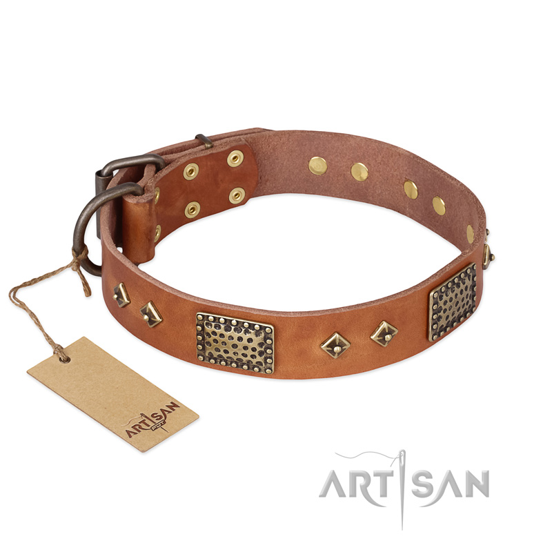 "Catchy Look" FDT Artisan Decorated Tan Leather Amstaff Collar