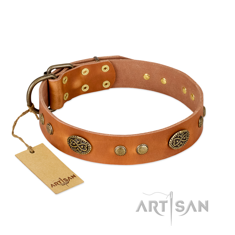 "Sun Beams" FDT Artisan Tan Leather Amstaff Collar with Decorations