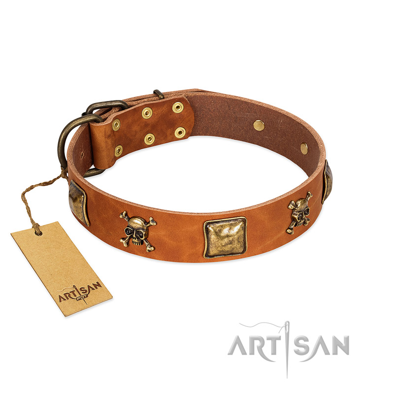 "Knights Templar" FDT Artisan Tan Leather Amstaff Collar with Skulls and Crossbones Combined with Squares