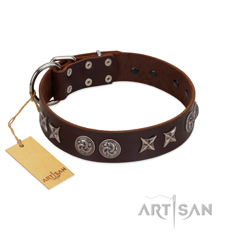"Silver Sunset" Designer Handmade FDT Artisan Brown Leather Amstaff Collar