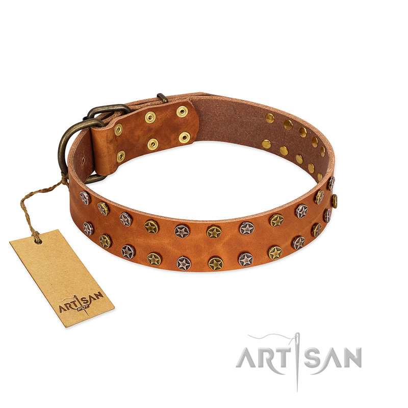 "Walk and Shine" FDT Artisan Tan Leather Amstaff Collar with Antiqued Studs