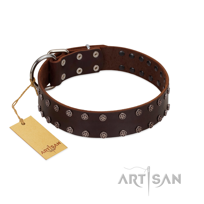 "Star Party" Handmade FDT Artisan Brown Leather Amstaff Collar with Silver-Like Studs
