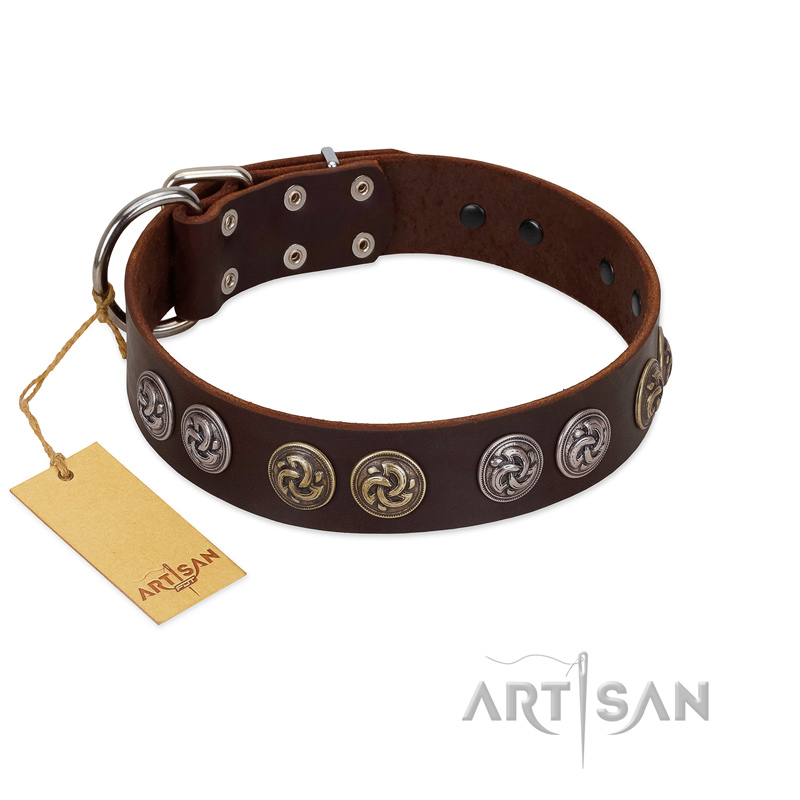 "Treasure Hunter" FDT Artisan Brown Leather Amstaff Collar with Old-Bronze-like and Silvery Medallions
