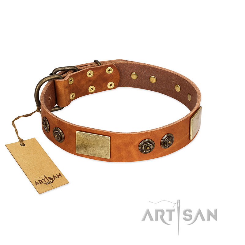 "Bronze Century" FDT Artisan Tan Leather Amstaff Collar with Plates and Brooches with Cool Ornament