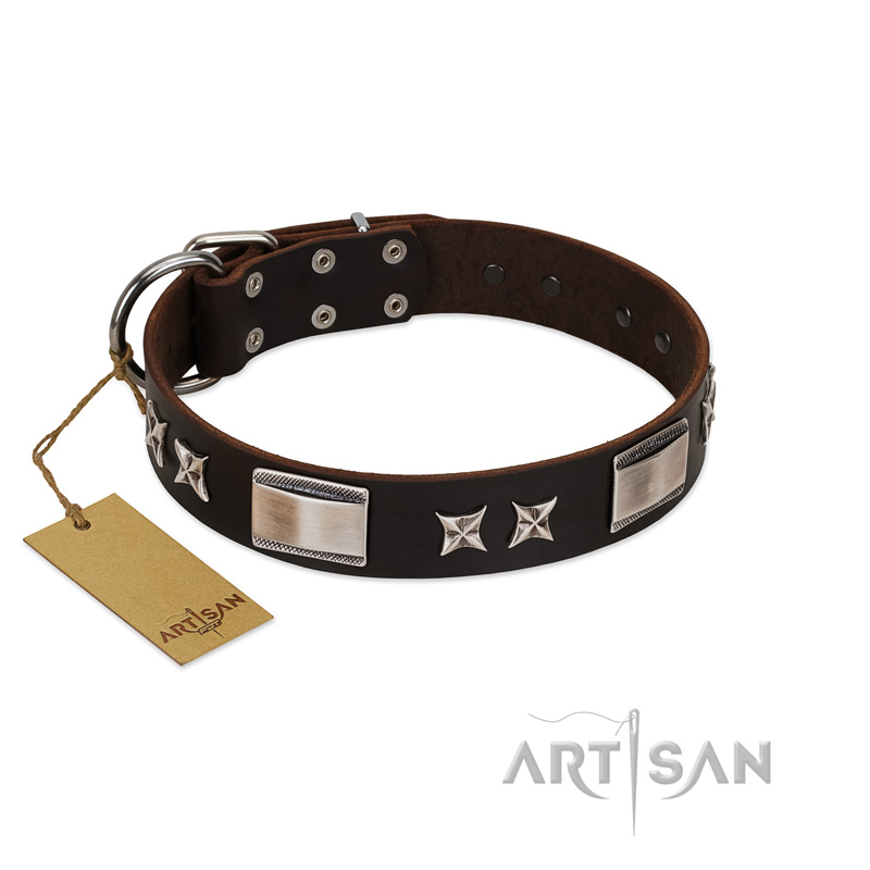"Satin Beauts" FDT Artisan Brown Leather Amstaff Collar with Stars and Plates