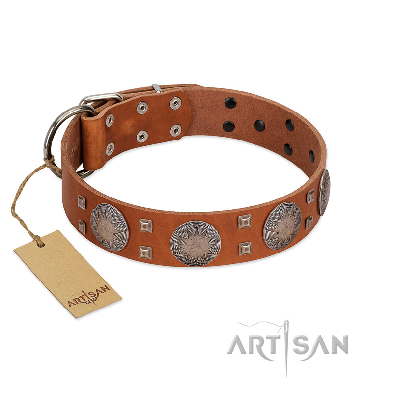 "Sun Rise Noon" FDT Artisan Tan Leather Amstaff Collar with Unique Design