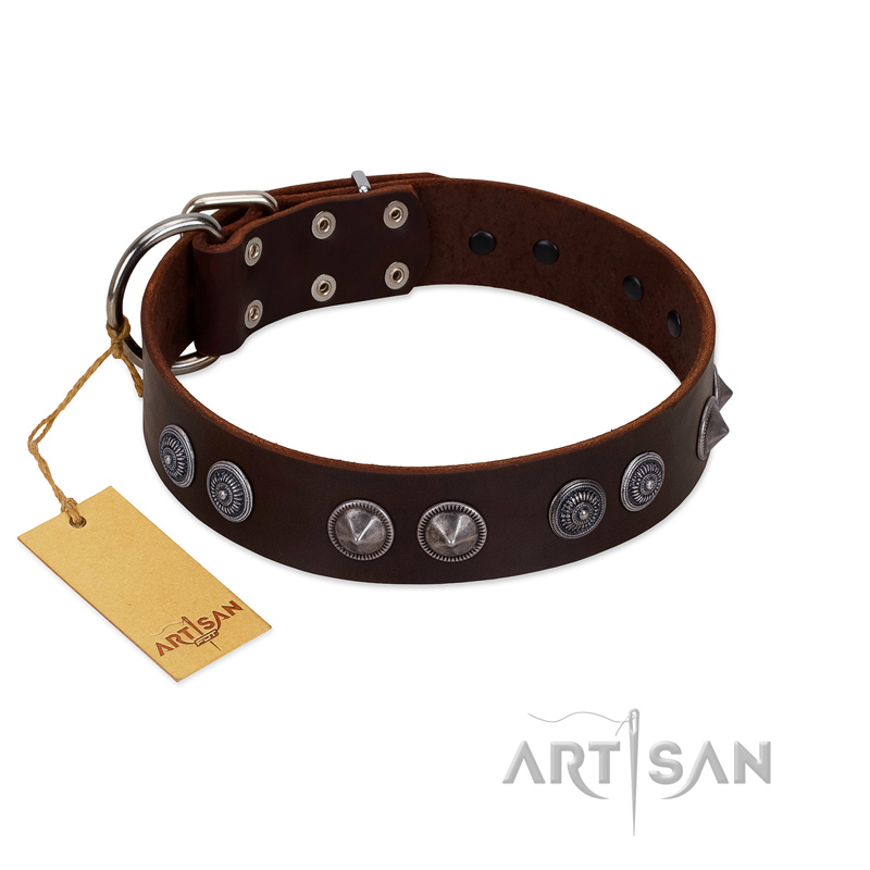 "King Arthur" FDT Artisan Brown Leather Amstaff Collar with Spiky Plates - Click Image to Close