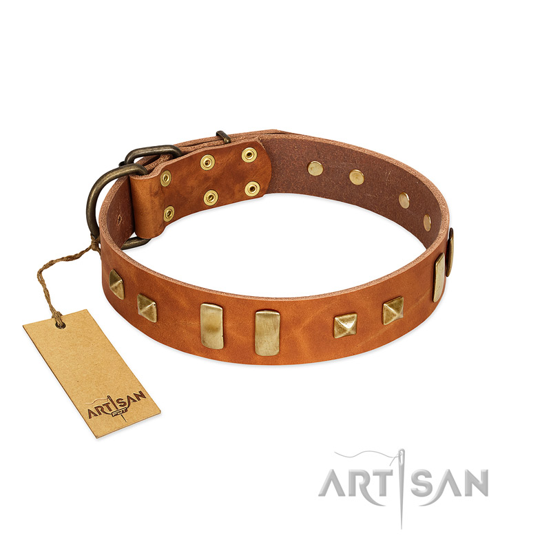 "Sand of Time" FDT Artisan Tan Leather Amstaff Collar with Old Bronze-like Studs and Plates