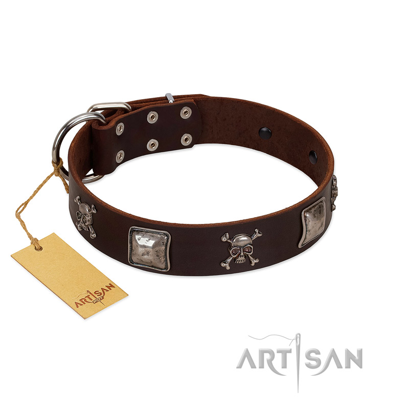 "Nut-Brown Finery" Embellished FDT Artisan Brown Leather Amstaff Collar with Chrome Plated Crossbones and Plates - Click Image to Close