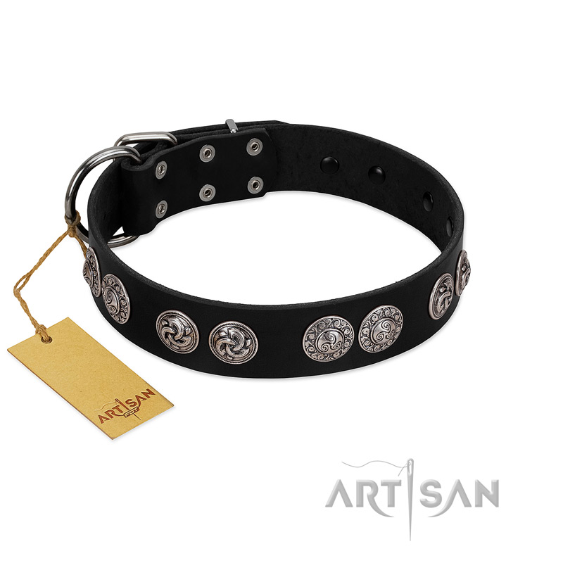 "Magic Amulete" Handcrafted FDT Artisan Black Leather Amstaff Collar with Chrome-Plated Shields