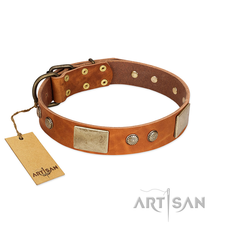 "Ancient Treasures" FDT Artisan Tan Leather Amstaff Collar with Antiqued Plates and Studs