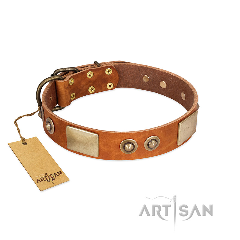 "Perfect Blend" FDT Artisan Tan Leather Amstaff Collar 1 1/2 inch (40 mm) wide