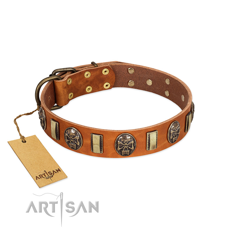 "Strike of Rock" FDT Artisan Tan Leather Amstaff Collar with Plates and Medallions with Skulls