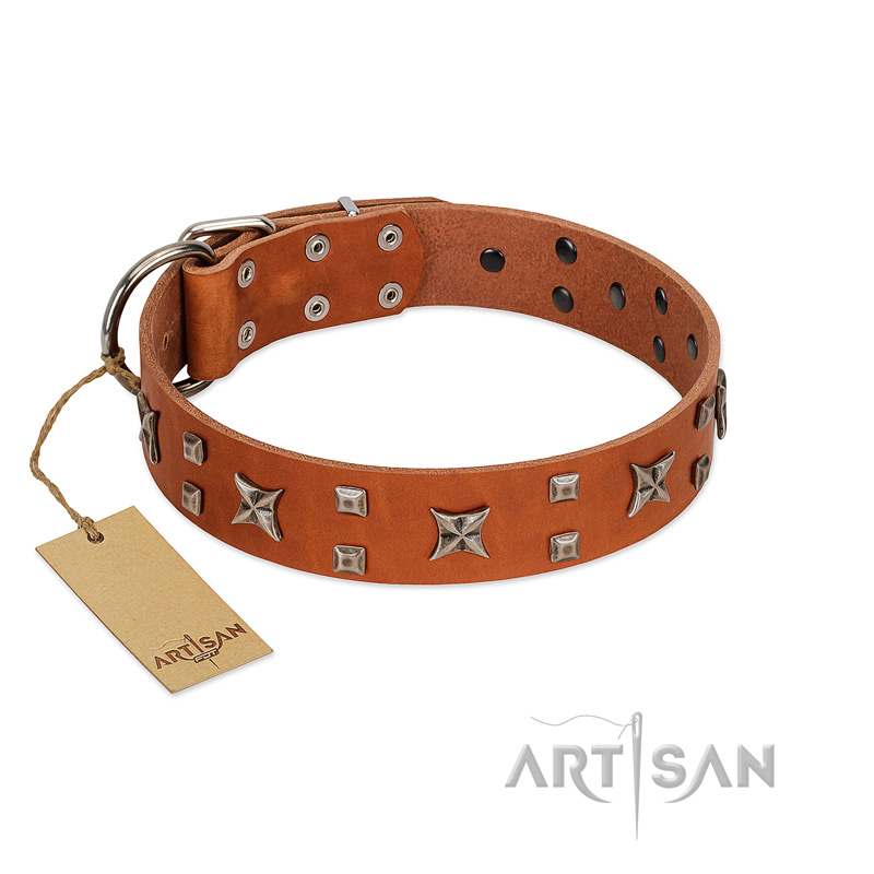 "Faraway Galaxy" FDT Artisan Tan Leather Amstaff Collar Adorned with Stars and Squares