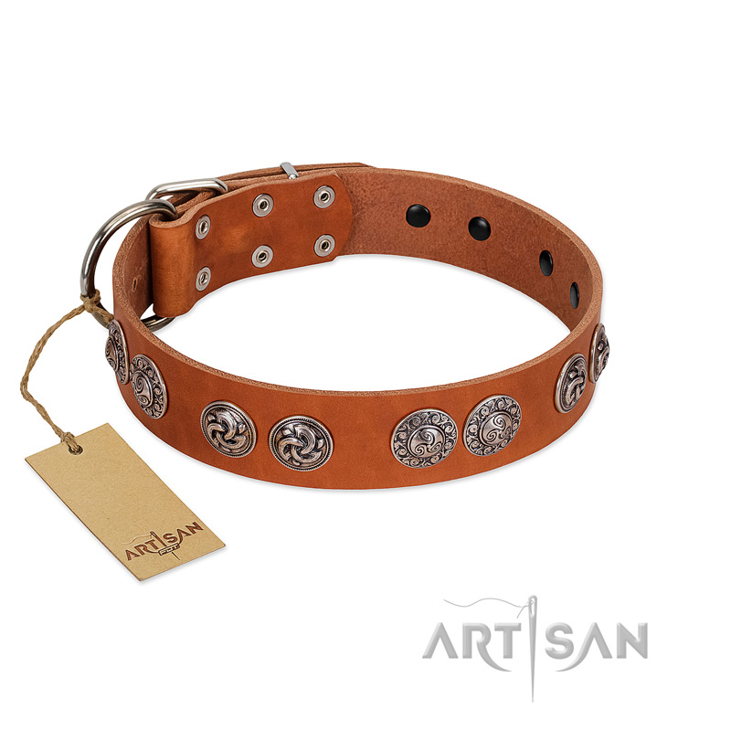 "Woofy Majesty" FDT Artisan Tan Leather Amstaff Collar with Round Silver-like Plates