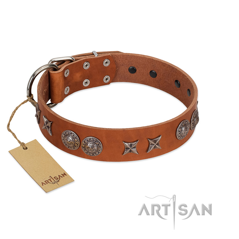 "Splendid Armor" Premium Quality FDT Artisan Tan Designer Amstaff Collar with Shields and Stars