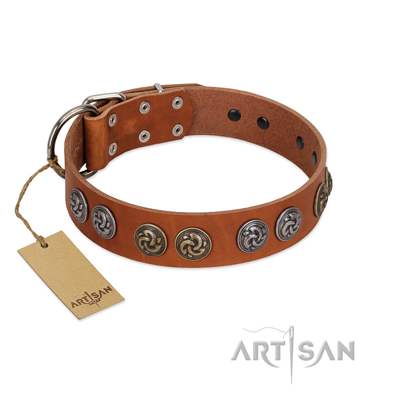 "Luxurious Life" Premium Quality FDT Artisan Tan Leather Amstaff Collar with Round Adornments - Click Image to Close