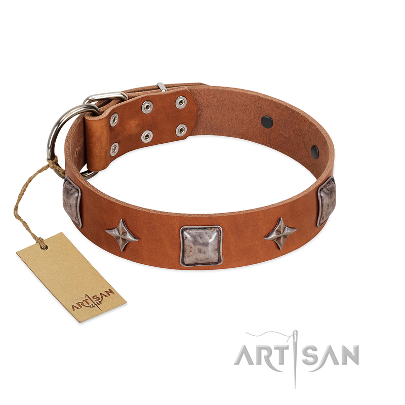 "Lucky Star" FDT Artisan Tan Leather Amstaff Collar with Silver-Like Embellishments
