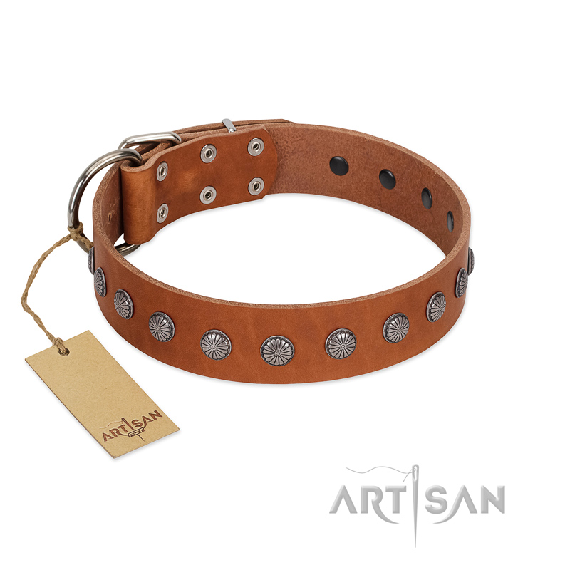 "Little Floret" Fashionable FDT Artisan Tan Leather Amstaff Collar with Silver-Like Adornments