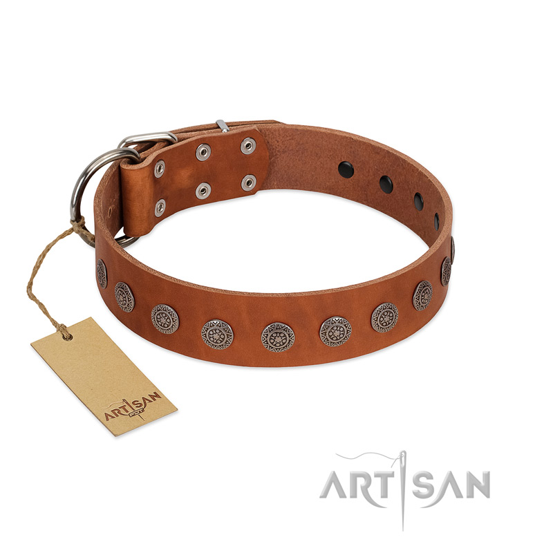 "Lucky Star" Handmade FDT Artisan Designer Tan Leather Amstaff Collar with Round Plates - Click Image to Close