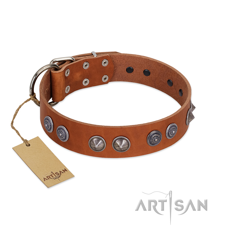 "Silver Necklace" Incredible FDT Artisan Tan Leather Amstaff Colar with Silver-Like Adornments