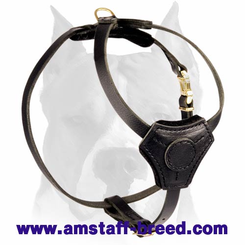 Small Leather Dog Harness for Amstaff puppy
