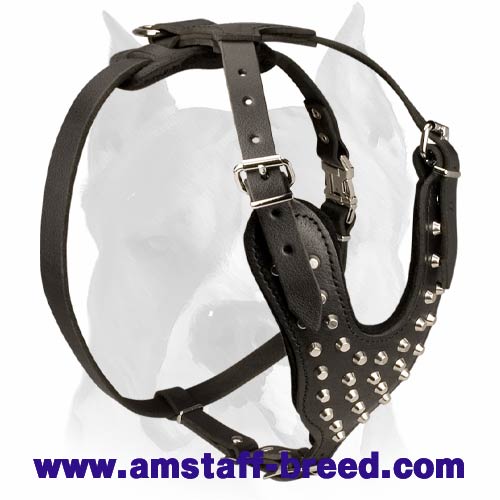 Amstaff Studded Leather Dog Harness with Pyramids