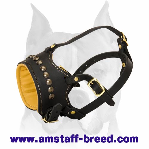 padded muzzle