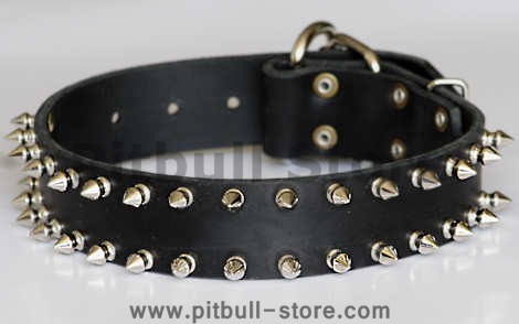 leather spiked dog collar 