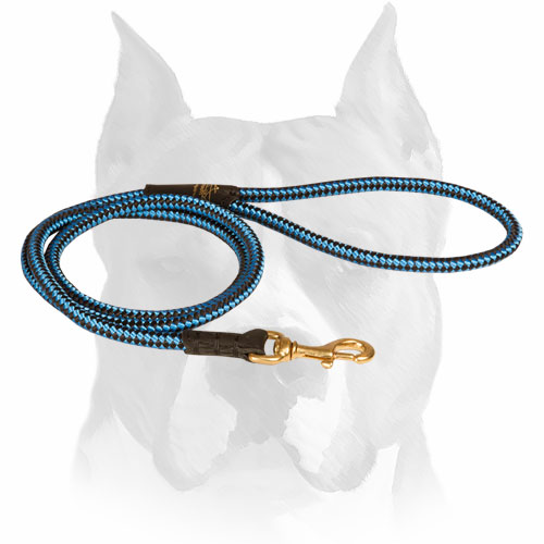 Amstaff nylon dog leash