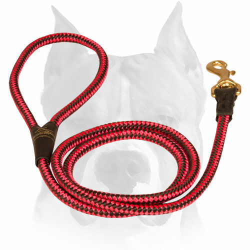 Durable nylon dog leash with corrosion-free hardware for Amstaff