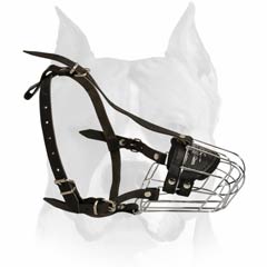 Everyday Training Wire Muzzle For Amstaff